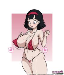 videl from dragon ball by riffsandskulls