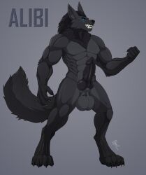 abs alibi_(alibiwolf) alibiwolf animal_genitalia animal_penis anthro balls big_balls big_feet black_body black_fur canid canine canine_penis canis digitigrade feet fluffy fluffy_tail fur genitals glaws grey_body grey_fur grin heavy_balls hi_res knot looking_at_viewer male male_only mammal model_sheet muscular neck_tuft penis sheath smile solo teeth tuft were werecanid werecanine werewolf wolf