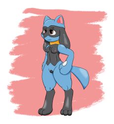 absurd_res animal_genitalia animal_pussy anthro breasts canine_genitalia canine_genitals canine_pussy exposed_breasts female genitals hi_res lean_muscle nintendo nude ori-doggo pokémon_(species) pokemon pussy riolu small_breasts solo video_games