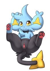 3_toes anus big_ears black_body black_fur blue_body blue_fur chest_tuft digital_media_(artwork) feet female feral friendlyfeesh front_view fur generation_4_pokemon genitals head_tuft hi_res humanoid_genitalia humanoid_genitalia_on_feral humanoid_pussy humanoid_pussy_on_feral light_(bokurei) looking_at_viewer nintendo pawpads paws pink_pawpads pokemon pokemon_(species) presenting presenting_pussy pussy quadruped shinx simple_background solo spread_legs spreading tail toes tuft urethra white_background yellow_eyes yellow_inner_ear