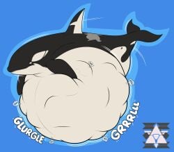 belly big_belly blush calling_for_help digestion digestion_noises digital_media_(artwork) female_pred female_prey feral feral_pred huge_belly male_prey mass_vore multiple_prey orca screaming screaming_for_help screaming_prey sentinelwinder struggling_prey unwilling_prey vore yamie