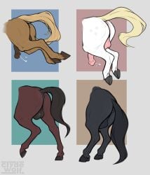 absurd_res anatomically_correct animal_genitalia animal_penis anus ass balls bodily_fluids clyde_wolf cum digital_media_(artwork) equid equine equine_anus equine_penis erection feral genital_fluids genitals hair hi_res hooves horse male mammal nude penis puffy_anus simple_background solo