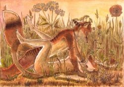 aleutia anthro canid canine female fox kalahari_(character) male male/female mammal mustela mustelid musteline n2o sex true_musteline