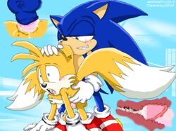 anthro buggery fox fur furry furry_only hedgehog interspecies jakkknife87 sonic_(series) sonic_the_hedgehog tagme tails video_games x-ray yaoi