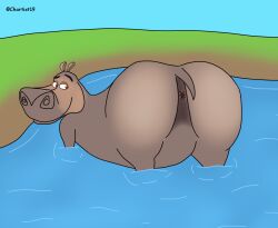 anthro anus ass ass_up bent_over big_butt bubble_butt chartist19 common_hippopotamus dreamworks female gloria_the_hippopotamus hippopotamid huge_butt madagascar_(series) mammal presenting presenting_hindquarters solo