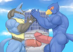 anthro avian beak big_pecs big_penis bird blue_body blue_fur bodily_fluids building building_penetrated building_sex canid canine double_penetration duo erection falco_lombardi frottage fur generation_4_pokemon genital_fluids genitals hi_res humanoid_genitalia humanoid_penis hyper hyper_penis internal led_owo lucario macro male male/male male_only male_penetrating mammal muscular muscular_male nintendo pecs penetration penile penis pokemon pokemon_(species) precum sex spines star_fox worship