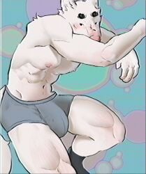 anthro big_bulge blush boxers_(clothing) bulge canid canine clothing dawson_(lb3) footwear fur hi_res lb3 male mammal muscular muscular_male socks solo underwear white_body white_fur