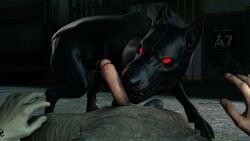 3d balls big_penis bj_blazkowicz black_fur canine clothing dobermann domestic_dog dominant_male duo feral gay huge_cock human human_on_feral humanoid_penis imminent_oral imminent_sex kampfhund large_penis looking_at_viewer male male/male male_only obsceneeighteensfm pinscher pov red_eyes video_game wolfenstein zoophilia