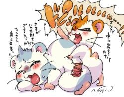 anal anthro balls belly blush cricetid duo erection genitals hamster hamtaro hamtaro_(series) japanese_text looking_pleasured male male/male male_penetrating mammal noppokun1105 overweight oxnard_(hamtaro) penetration penis rodent sex text tongue tongue_out