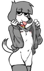 2020s 2024 absurd_res anthro areola blush breasts canid canine canis clothing colo domestic_dog female fifi_(somemf) fur grey_body grey_fur grey_hair hair hi_res looking_at_viewer mammal navel nipple_piercing nipples piercing poodle simple_background small_breasts smile smiling_at_viewer solo tongue tongue_out vhfd white_body white_fur