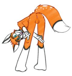 1:1 2020 3_toes anthro ass ass_up balls bent_over blue_eyes canid canine feet fox fur genitals hi_res humanoid humanoid_genitalia looking_at_viewer male mammal multicolored_body multicolored_fur nude orange_balls orange_body orange_fur presenting presenting_hindquarters simple_background solarlewds solo spam_(zoophobia) toes tongue tongue_out two_tone_body two_tone_fur white_body zoophobia