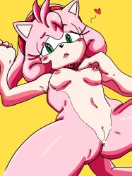 amy_rose collar heart hedgehog pink_fur pink_hair randomguy999 small_breasts sonic_(series) submissive