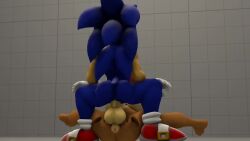 3d animated big_balls big_breasts big_penis cum cum_in_ass cum_inside exposed_torso five_(artist) footwear futa_on_male futanari handwear looking_pleasured male_penetrated mostly_nude sally_acorn sfm_default_map sonic_(series) sonic_the_hedgehog sonic_the_hedgehog_(series) sound source_filmmaker tagme video