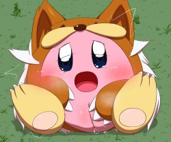 <3_eyes :o blush bodily_fluids claws clothing costume female finger_fuck fingering fursuit genital_fluids genitals grass heart kirby kirby_(series) minami_(artist) nintendo open_mouth pink_body plant plump_labia pussy pussy_juice solo tears tears_of_pleasure vaginal_penetration video_games waddling_head