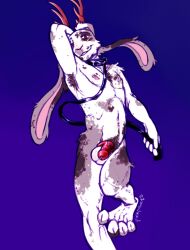 anthro antlers chastity_cage chastity_device furry horn jackalope lagomorph leash long_ears lying male mammal on_back pinkpalmingo solo spots