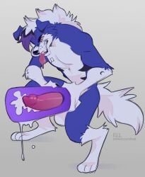 anthro balls big_balls big_penis blue_body blue_fur bodily_fluids canid canine cum erection floppy_ears fur genital_fluids genitals ksejl lycanroc male male_only mammal masturbation midnight_lycanroc muscular muscular_male nintendo nude penetrable_sex_toy penile penile_masturbation penis pokémon_(species) pokemon sex_toy simple_background solo tongue tongue_out video_games