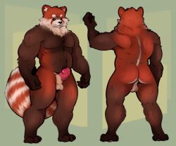 1boy ailurid anthro ass fakeanna fluffy genitals giant_panda knot male male_only mammal muscular nude penis pink_penis red_panda sheet_(disambiguation) slightly_chubby slightly_chubby_male solo thick_thighs ursid vein veiny_penis