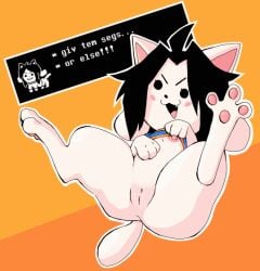 animated black_hair clothing dialogue dialogue_box english_text engrish female feral flashing flashing_breasts fur furry furry_only genitals hair humor pawpads paws ponporio_(artist) presenting presenting_pussy pussy solo tail temmie_(undertale) text threat threatening topwear undertale undertale_(series) video_games