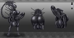 alien_(franchise) anthro character_sheet female_xenomorph futanari gigantic_penis gigantic_testicles hyper_breasts sagaraart xenomorph