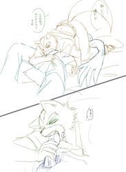 69 anthro color falco_lombardi fellatio fox fox_mccloud fur furry furry_only gay interspecies male male_only multiple_males no_humans oral pheasant star_fox yaoi