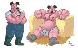 absurd_res anthro anthrofied belly bodily_fluids body_hair bulge canid canine canis cartoon_network chest_hair clothing courage_the_cowardly_dog courage_the_cowardly_dog_(character) domestic_dog farm farmer fur genital_fluids genitals hay hi_res male mammal maxpany musclegut nipples overalls pecs penis pink_body pink_fur precum precum_through_clothing solo underwear wet wet_clothing