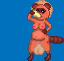 animal_genitalia animated anthro balls belly belly_pat big_belly blush breasts canid canine clothing digital_media_(artwork) drinking female fire genitals gif gourd hat headgear headwear intersex intersex/female low_res mammal navel nipples pixel_art raccoon_dog sheath slightly_chubby straw_hat tail_motion tailwag tanuki thick_thighs vorochi