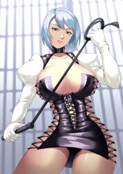 alternate_costume big_breasts black_panties cameltoe dominatrix earrings female female_only fishnets franziska_von_karma gloves gyakuten_saiban haryu_(artist) haryudanto karuma_mei latex mole panties short_hair silver_eyes silver_hair thick_thighs upskirt whip