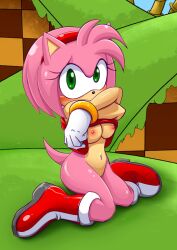 amy rose from sega by palcomix