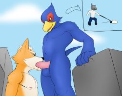 2boys avian bird blue_body building canid canine erection falco_lombardi fellatio fox fox_mccloud gay genitals hi_res jrjresq low-angle_view lying macro male male/male male_only mammal nintendo oral penile penis sex siman-clifton simple_background sperm_cell star_fox video_games