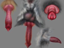 4:3 ambiguous_form anatomically_correct anatomically_correct_genitalia anatomically_correct_penis animal_genitalia animal_penis anus balls big_penis canine_penis erection fur genitals glistening glistening_genitalia glistening_penis gradient_penis grey_background grey_balls grey_body grey_fur grey_sheath knot male male_focus male_only penis perineum pink_penis red_penis simple_background skyelegs solo solo_feral tan_body tan_fur urethra