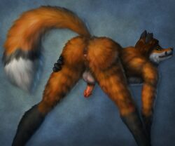 6:5 anthro anus ass balls bent_over biped black_body black_ears black_fur black_lips black_nose black_tail blue_background brown_hair canid canine cheek_tuft dipstick_tail erection facial_tuft fox fur genitals glistening glistening_eyes glistening_nose gloves_(marking) green_eyes hair humanoid_genitalia humanoid_penis leg_markings lips looking_back male mammal markings orange_body orange_fur orange_tail penis perineum presenting presenting_anus presenting_hindquarters rear_view red_penis simple_background skyelegs socks_(marking) solo standing tail_markings tuft white_balls white_body white_fur white_tail