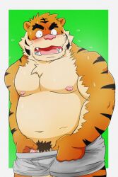 2022 anthro belly big_belly blush clothing felid genitals hi_res humanoid_hands kemono male mammal moobs nipples overweight overweight_male pantherine penis pink_nose pubes shibatanukiti simple_background solo tiger underwear