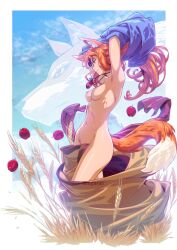 1girls animal_ears apple armpits arms_up brown_hair clothing female female_only holo kemonomimi long_hair medium_breasts mostly_nude orange_hair outside partially_clothed profile red_eyes small_breasts smile solo spice_and_wolf undressing wide_hips wolf_ears wolf_girl wolf_tail xong