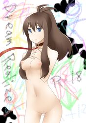 bad_id belt_collar blue_eyes breasts brown_hair collar covering dav female female_only hilda_(pokemon) human human_only leash long_hair looking_at_viewer nintendo nipples nude pokemon pokemon_bw ponytail puffy_nipples pussy sexual_objectification solo tied_hair uncensored