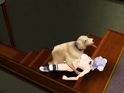 1animal 1girls 3d canine color dog domestic_dog double_bun female feral_penetrating human human_penetrated indoors interspecies missionary missionary_position nude nude_female on_back penetration purple_hair stairs thighhighs zoophilia
