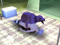 3d canine dog domestic_dog female missionary missionary_position tagme zoophilia