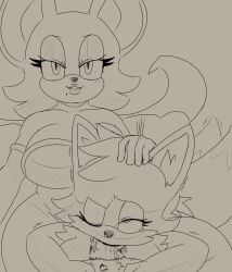 rouge the bat from sega by berkthejerk