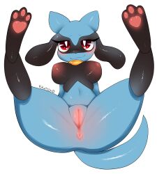 absurd_res anthro anus ass blue_body blush breasts canid canine canis female fur furry furry_only genitals hi_res legs_up looking_at_viewer mammal naked navel nintendo nude pawpads paws pokémon_(species) pokemon pukemilked pussy red_eyes riolu smile solo spread_legs spreading tail video_games