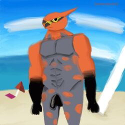 anthro avian beach black_body black_fur cloud destruction21 fur genitals grey_body grey_fur hi_res male multicolored_body muscular muscular_male nintendo penis pokémon_(species) pokemon pokemon_(species) sand seaside sky solo spots talonflame video_games water