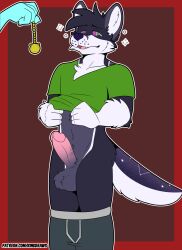 anthro canid canine clothing exposed furry genitals hi_res humanoid_genitalia humanoid_penis hypno_(disambiguation) hypnosis kingdraws mammal mind_control penis pulled_down underwear undressing