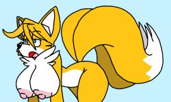 tails the fox from sega by anonymous artist