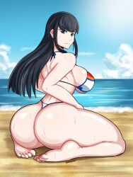 junketsu from kill la kill by darboo