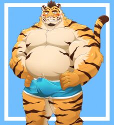 2022 anthro belly big_belly blush bodily_fluids bulge clothed clothing erection erection_under_clothing felid genital_fluids hi_res humanoid_hands kemono male mammal musclegut overweight overweight_male pantherine pink_nose precum shillon0610 simple_background solo tiger underwear