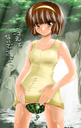 anns_garden blush brown_eyes brown_hair food fruit fruit_dildo fruit_insertion headband impossible_fit inflation insertion large_insertion penetration pussy short_dress skirt skirt_lift stomach_bulge stretched_pussy translation_request water waterfall watermelon watermelon_insertion