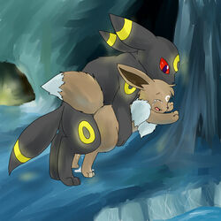 cave cum doggy_style eevee female forced from_behind fur furry_ears furry_tail hatii lunamew male nintendo pokemon rape sex tail tear umbreon