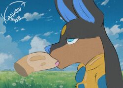 animated anthro anubian_jackal anubis_(pal) bodily_fluids bored canid canine canis drooling duo fellatio furry genital_fluids genitals humanoid jackal male male/male mammal oral pal_(species) palphilia palworld penile penis pocketpair precum saliva sex side_view tagme xanadu7