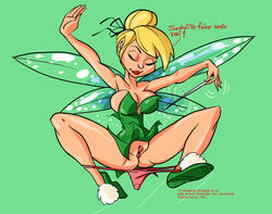 2000s 2009 disney disney_fairies french_text peter_pan_(disney) pussy tagme text tinker_bell torn_clothes worthy_means