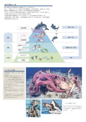 3girls black_hair breasts clam diagram highres imminent_rape imminent_vore marikei0109 mermaid monster_girl multiple_girls nipples nude octopus original peril pink_hair restrained shark tentacle tentacle_grab tentacle_sex text_focus topless translation_request trapped underwater vore