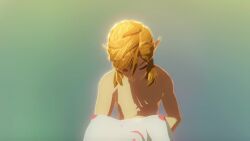 3d accurate_art_style animated ass blonde_hair breath_of_the_wild female hi_res highres hylian link_(breath_of_the_wild) male mipha no_sound official_style pale_skin pointy_ears princess_zelda sable_serviette short_playtime tagme the_legend_of_zelda video webm zelda_(breath_of_the_wild) zora