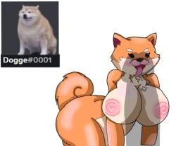 big_breasts busty canine discord dog_ears dogge female pikachu_mostacho tail